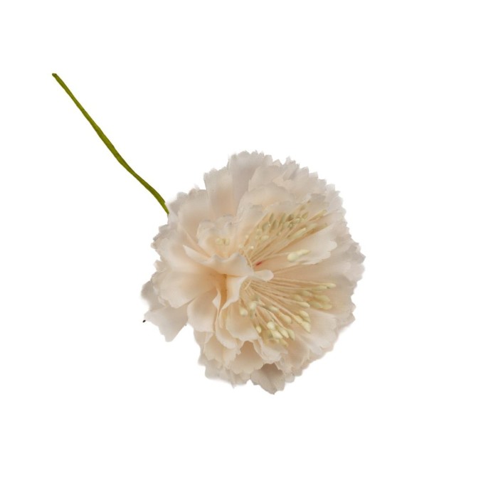 FIORE GAROFANO T.6cm CIPRIA